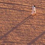 Comment réduire le désert de 30% en 50 ans grâce à la TVA sociale ? desert