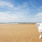 50 + 20 + 5 = 75 milliards d'économie pour la France economies