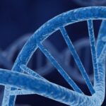 gene