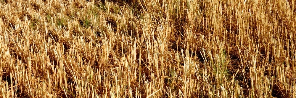 loi alimentation egalim