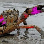 Peut-on arrêter le développement d’un cancer