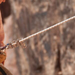 Canva - Woman Rapelling in the Mountain