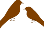 martins-g339770a57_1280