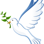 dove-g04afc658a_1280