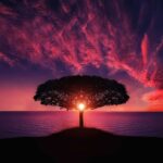 tree-g9f27652a1_640