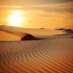 Les déserts prospèrent de 4 à 5 km par an desert-790640_1280