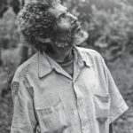 elder-4154624_1280