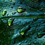rainwater-7858773_1280