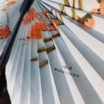 fan-876373_1280