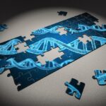 Ce n’est pas le système de santé puzzle-2500333_1280