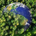 La nature est aussi vieille que la terre ART 7