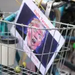 bicycle-2590167_1280 (1)