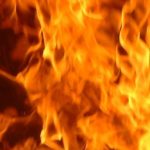 lepargne_des_francais